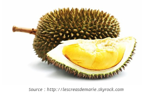 http://www.blog-trotteurs.com/wp-content/uploads/2014/08/flore_durian.png